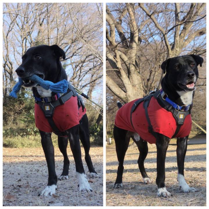 D243789e e17c 46cf a985 72deaaac0c9a 1643764326876