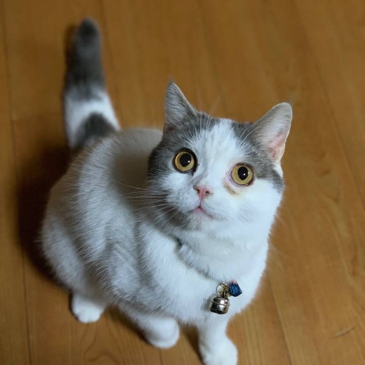 D2438c92 27b9 48eb 8562 34c52c7fe630 1633780142689