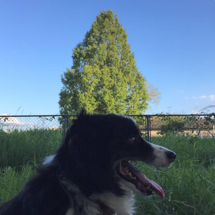 D243a668 e3c2 4c07 bcac e328eae6de6c 1533121892271