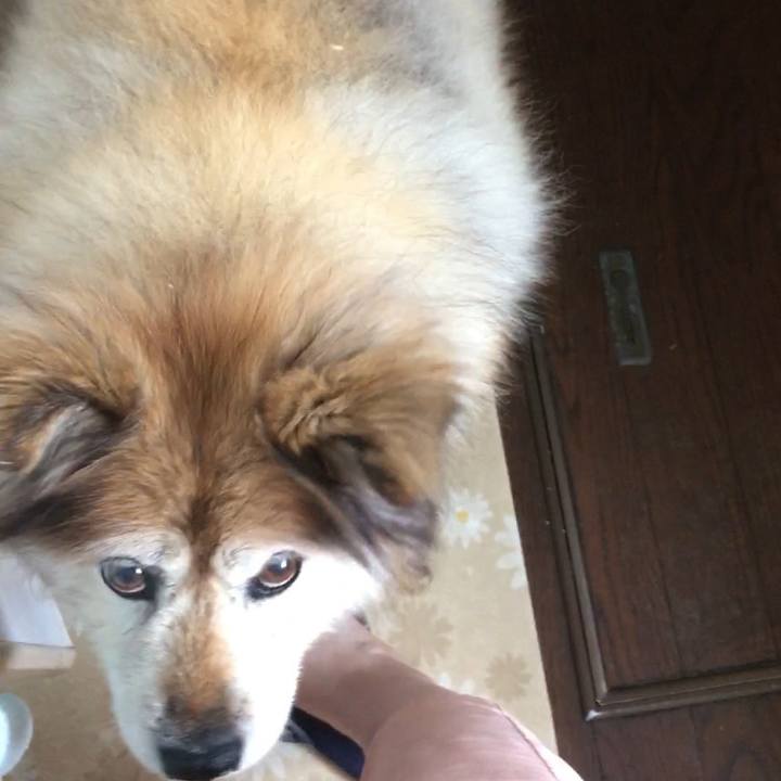 D243e494 664c 4859 a796 1da388deac19 1602636354206