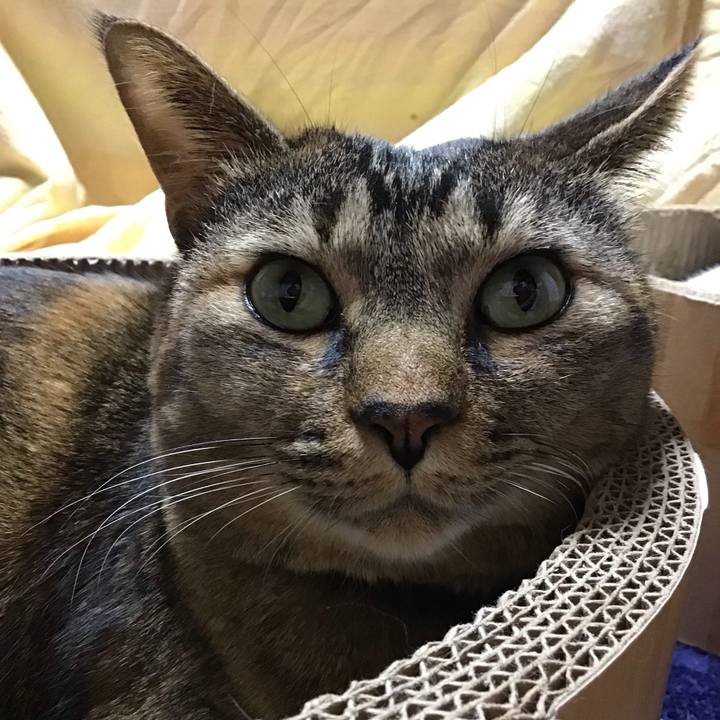 D243f90d db6c 48be b95a 88600c77a88b 1736070924372