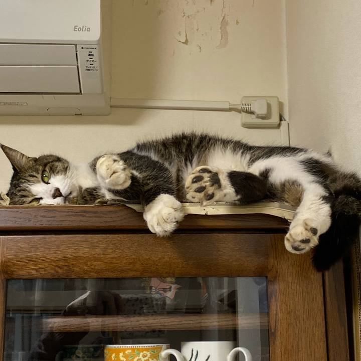 D2440425 43c1 4997 ad26 37e89575eaa0 1576721238415