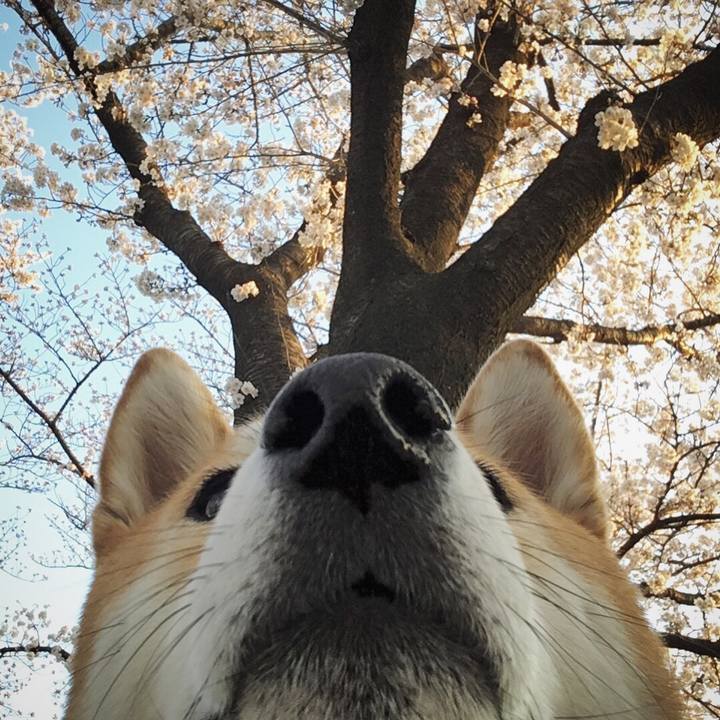 D2440dce e864 45ec 9553 f2a48187c530 1521989288315