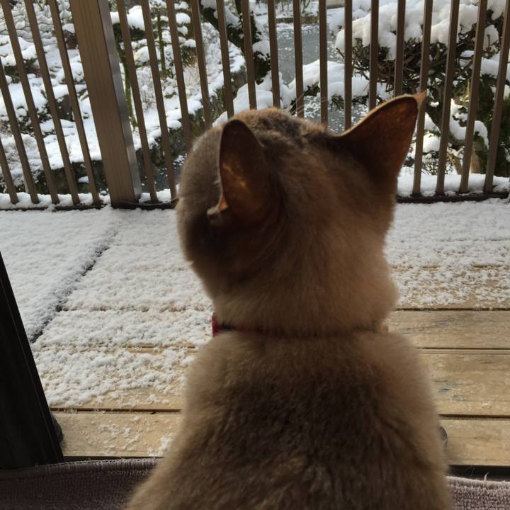 D2441057 c5af 4e29 a708 5e367be18d78 1518392451358