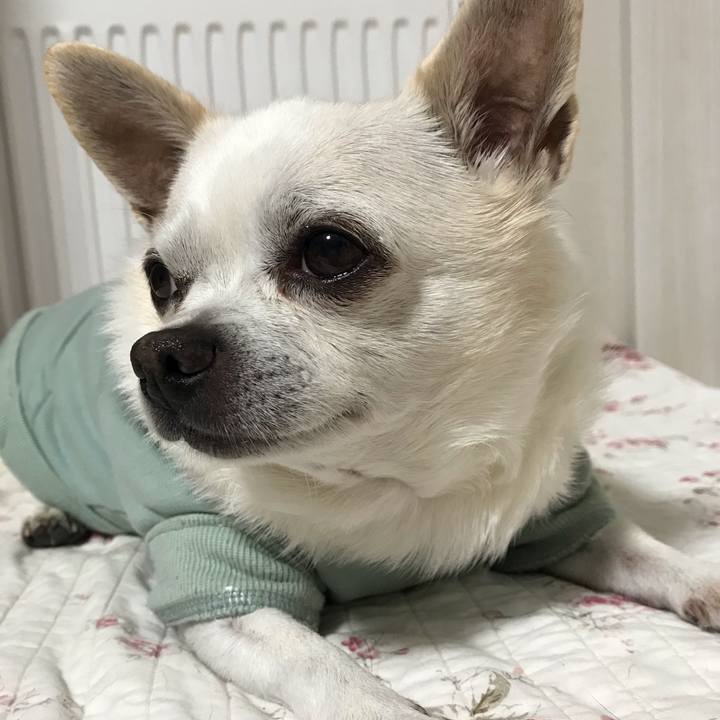 D2442c70 0e20 4395 9ec1 8512938e7a8a 1614576450097