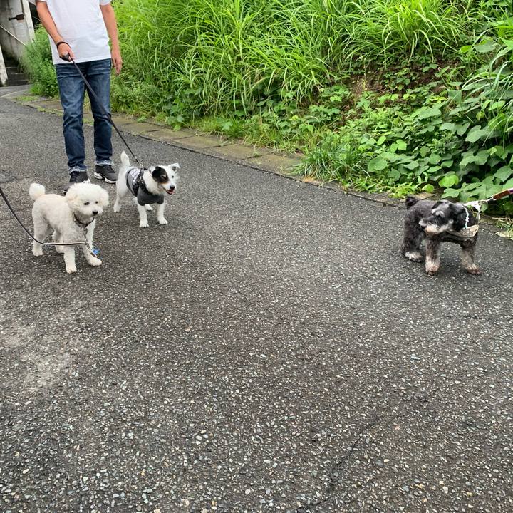 D244545a b23b 4a5d a080 45678225ad2f 1719128925386