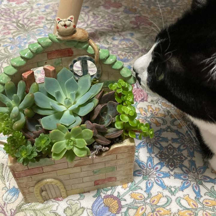 D2447a76 97b5 4121 a13a 0abcd001cf05 1749120626099