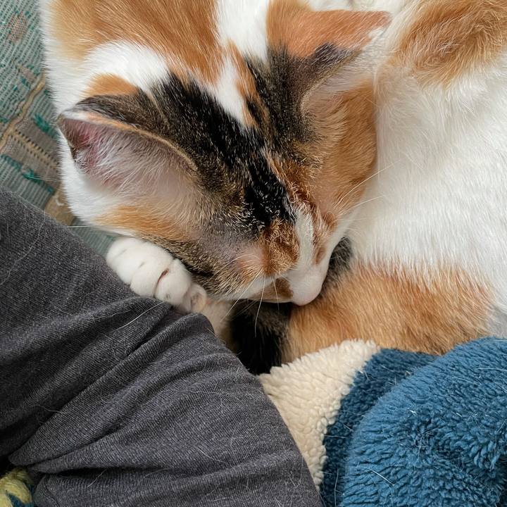 D244b22b b3b4 472f bd02 cec530f48902 1619312792392