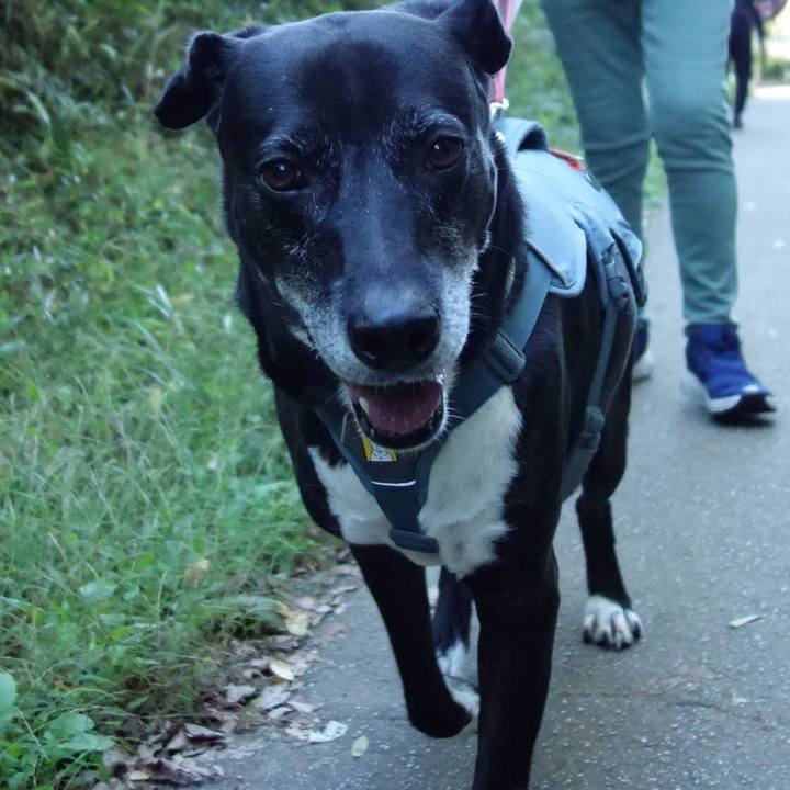 D24500a2 19c7 47ca 830f 5b92c1a5a3ba 1730937634558