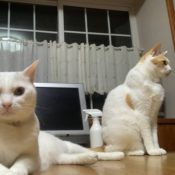 D2450e5b db20 400c afcc 7bd0c16d617a 1654691570697