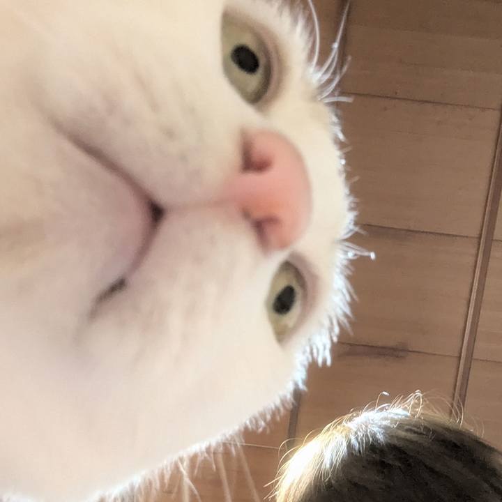 D245344b 99b2 44a7 ab8c 016342737765 1739240172753