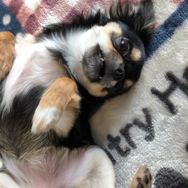 D2454a15 8f6c 4b55 91ed a2e955f923e4 1545455318158