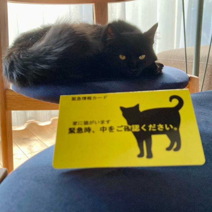 D245524f 7569 49ce 8d7a 87ae943cdcc8 1732337797555