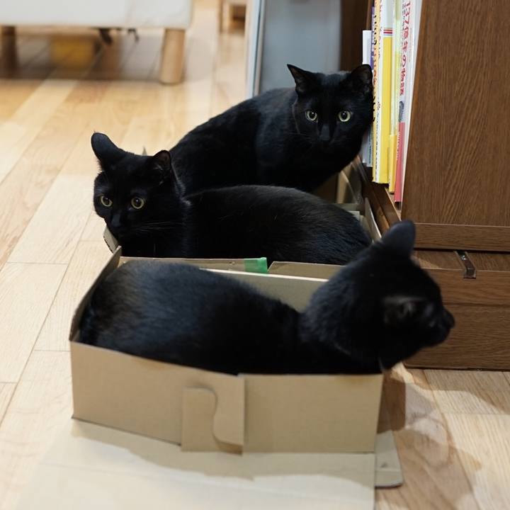 D2456034 3be2 4f4b b887 1564e4827d23 1559225605932