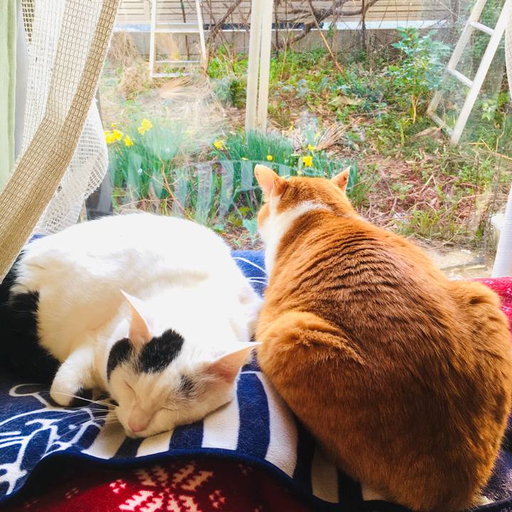 D24580a2 6a93 4c8d adbe 71c74df9d894 1585303225978