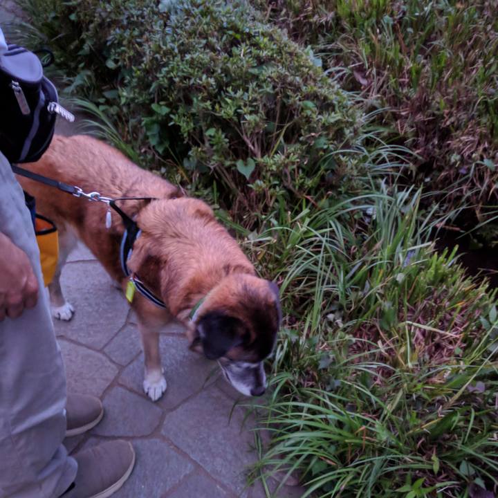 D245dc4a 5dc9 4486 8d23 6439437e7bed 1529663621668