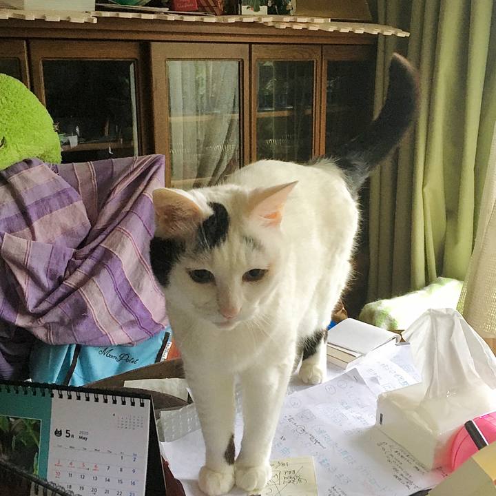 D245f9bc 813f 4fa4 9099 22a620c0cc10 1626684809203