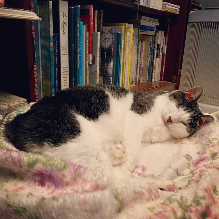 D2462b89 8deb 4eb6 bf47 71b95e98e52c 1638631612520