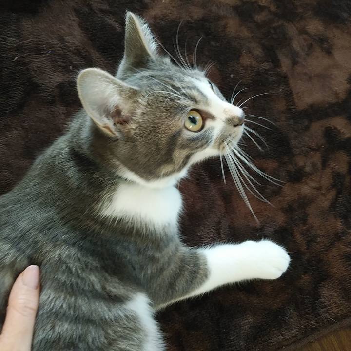 D2462cc7 1d43 4182 916c 9a54319b8c5e 1572820870969