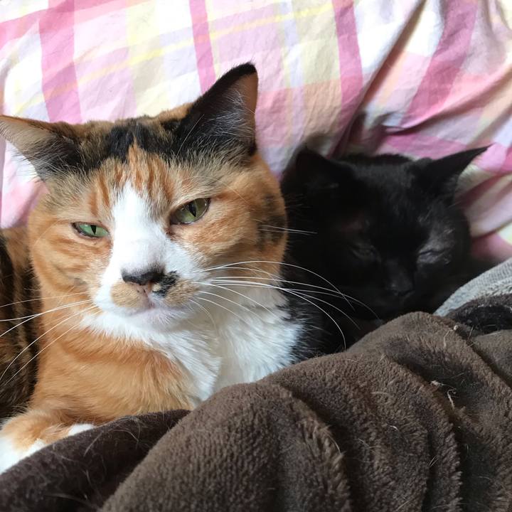 D2465fca 5375 4cf5 9540 62a3de689729 1549429189991