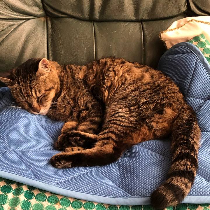 D246a0bc 0afc 46d0 8255 d3cd6ae96c3e 1561338078320