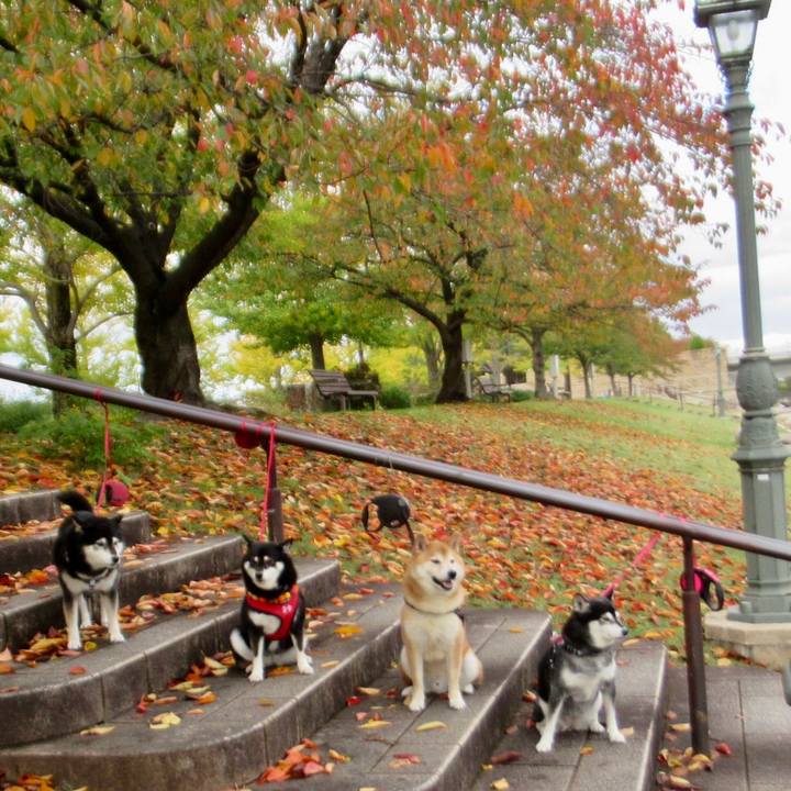 D246c96d 477a 40a5 82ad 046df8f51c96 1699057149202