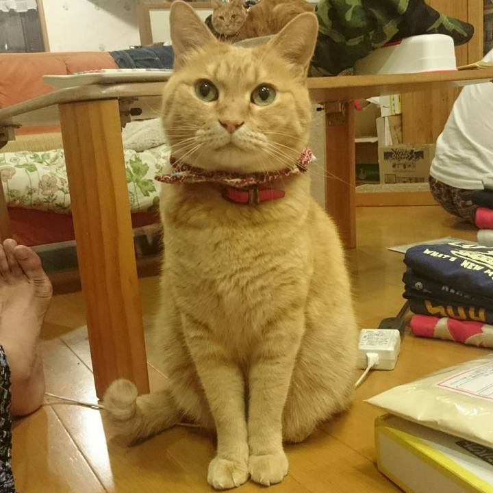 D246e94b e3e0 4adf 86c0 081032b8bc51 1527680237119