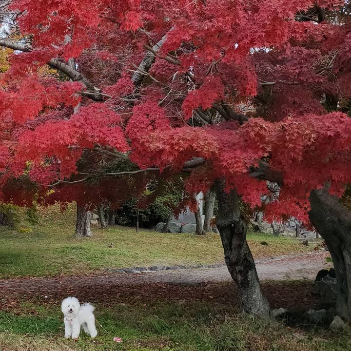 D246f159 57a4 4d92 9fc2 18ca2b56b937 1763883181168