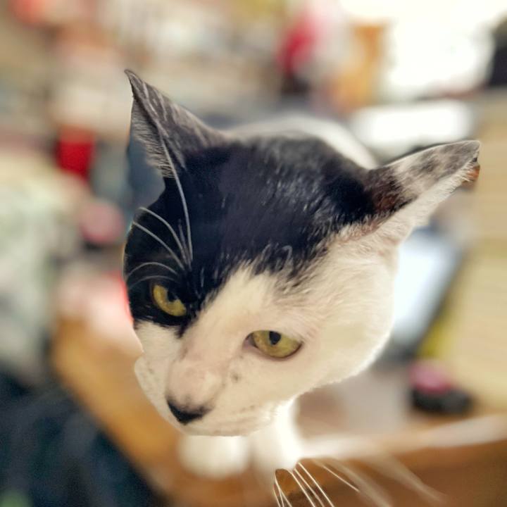 D24717b9 b386 4a23 bda2 9e01ecb7a477 1676355946593