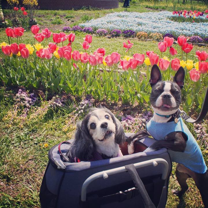 D2476cfe c85a 4f54 ab83 3340a35baae7 1586682446121