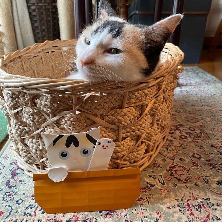 D2478770 5e14 42be 8e45 dd00e63cad55 1748472972638