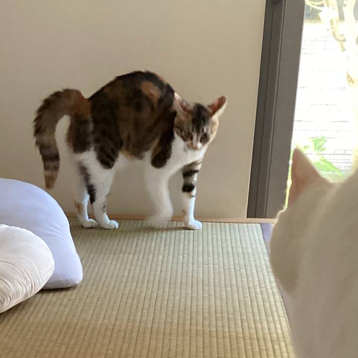 D247ad57 1055 4650 acaa b857183184d3 1660861235235