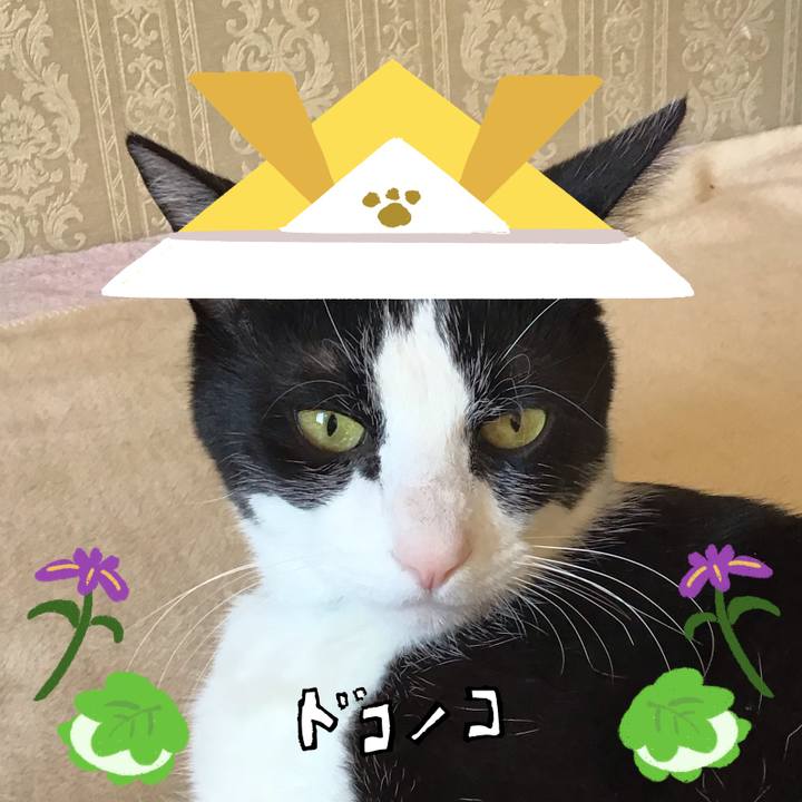 D247c034 a654 451c 9742 166eb06e9588 1714893075086