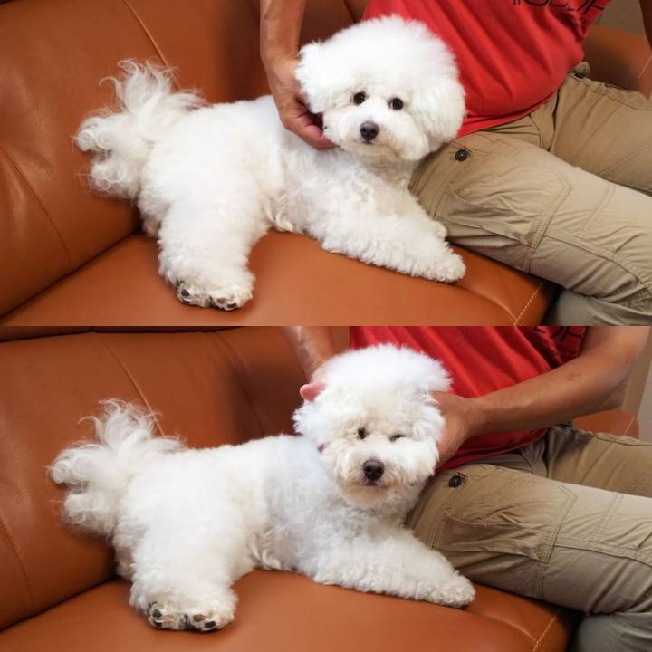 D247cf00 0572 47a9 be63 a53917afa9a9 1532861342587