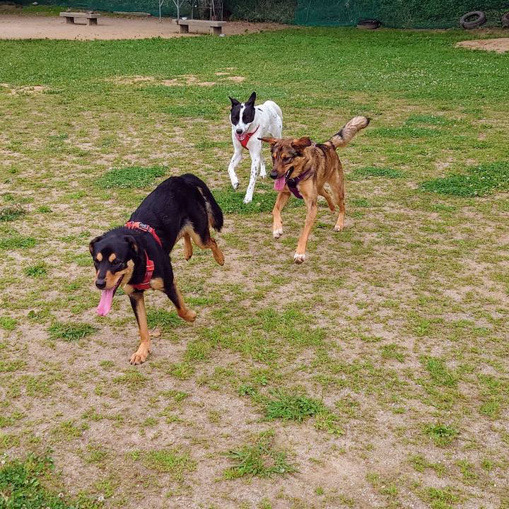 D247cf39 4cfe 407d aa8f 986dced9587c 1717895134166