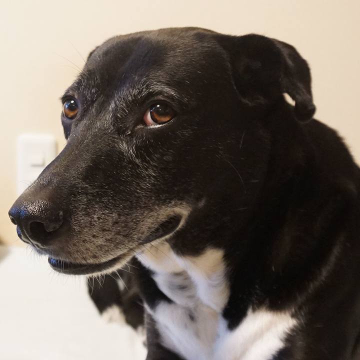 D247ea9f 3620 48e2 aab1 05925badb7f7 1755474678482