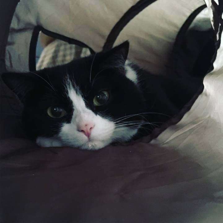 D24805e0 f923 4b8a af22 e67e15e0b0da 1621577000848