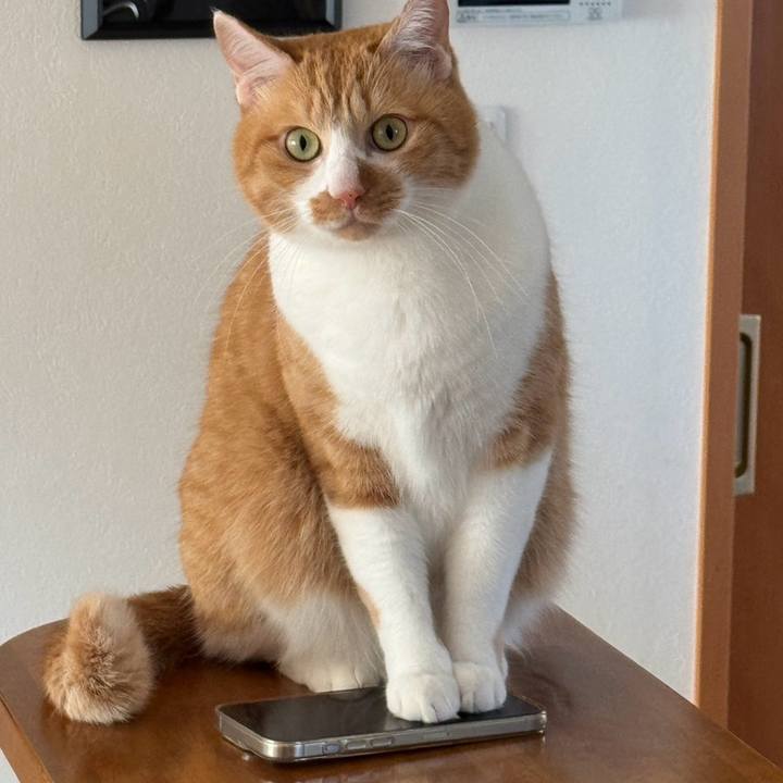 D2481c81 bb29 41c8 8701 23710bb8c1d0 1767061170317