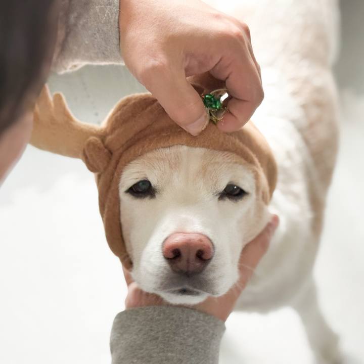 D2482873 6931 416b 98e6 b2adaa1912e2 1766644961414