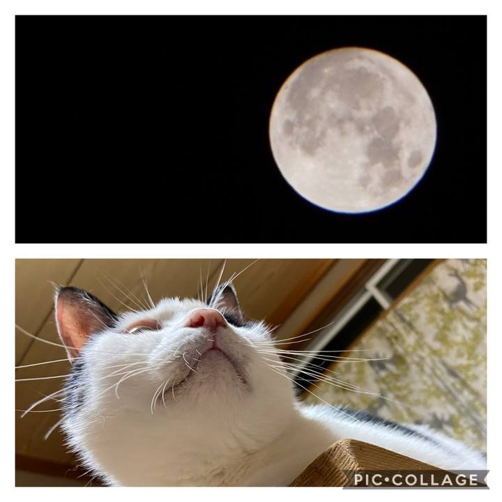 D24829f7 ad8f 40a5 aec5 cfc7528c01cd 1601560417404