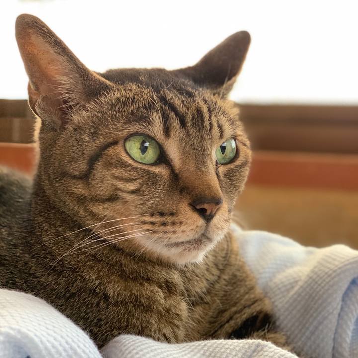 D24830a0 0691 4194 bf1d e4a27bf56b5d 1591318541359