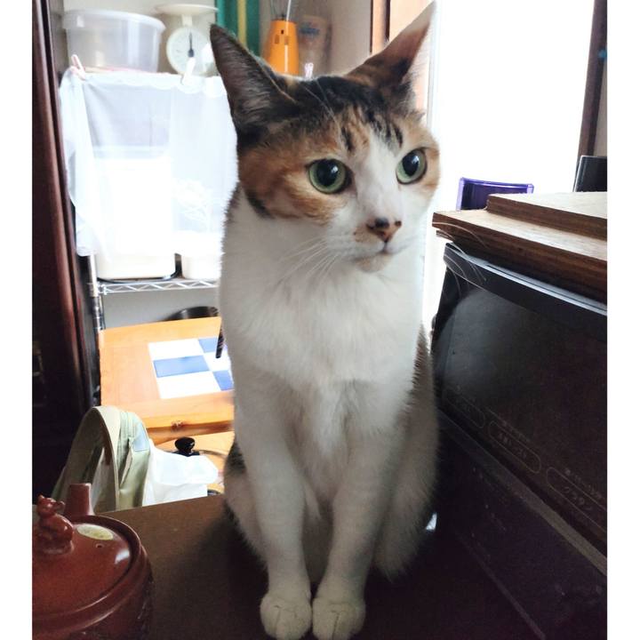 D2484435 0e55 4235 bc69 535cdd77c091 1666477884340