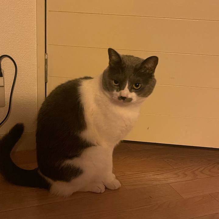 D248545b d025 4173 a147 9416c649cfd6 1706220888313