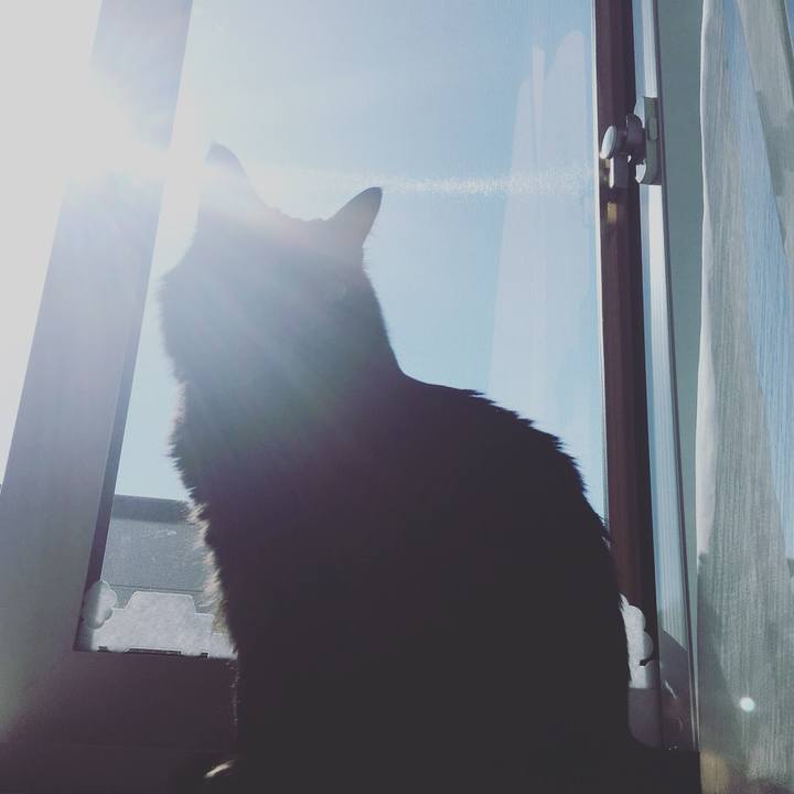 D2489831 f039 4090 a6d0 20573a9bc1f4 1525049766403