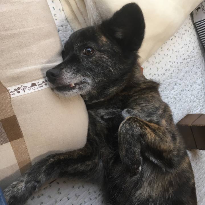 D248af58 42cf 4ffe 81ef 2d8d6d6e0bbc 1560650802029