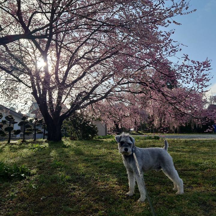 D248bee5 6f32 4967 a930 07fa534bc6e0 1775430295781