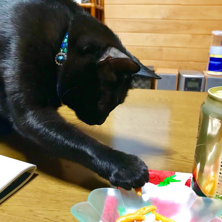 D248c6be d2a9 4c8e 8288 3c163772879e 1515755080599