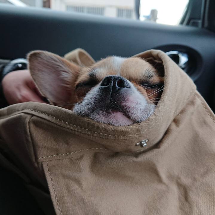 D248f5db ba86 4eef b3d5 73e1871c2e94 1549009394803