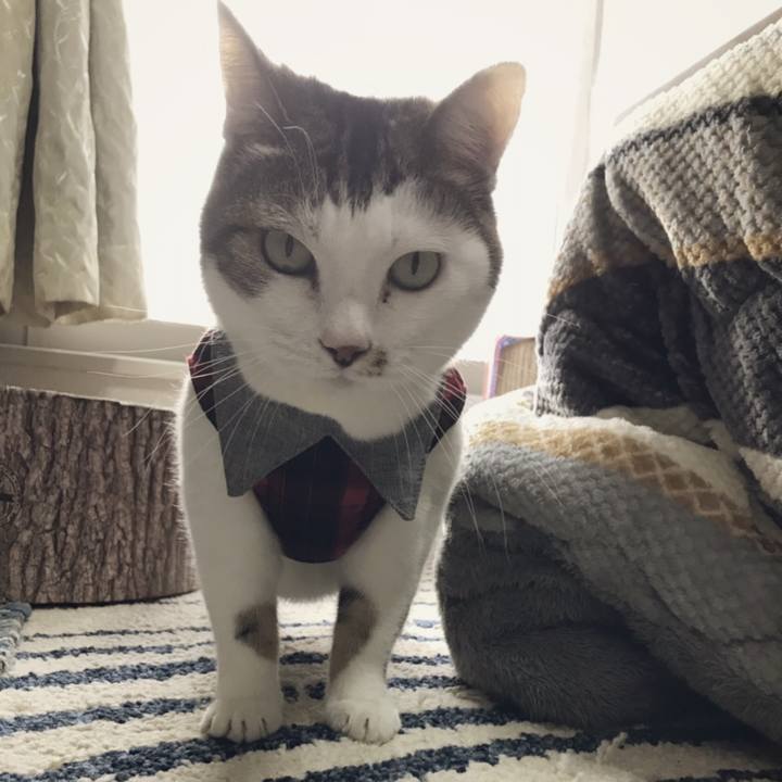 D248fd95 8877 4819 bfdc 4b42576cb93a 1547035785063