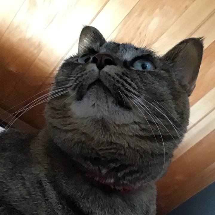 D24930c3 cc36 495b 8306 749606ee1010 1683008740409